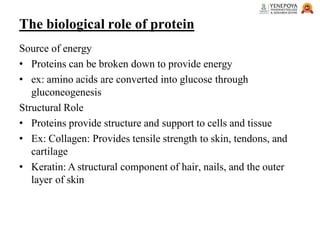 The biological role of protein
Source of energy
• Proteins can be broken down to provide energy
• ex: amino acids are converted into glucose through
gluconeogenesis
Structural Role
• Proteins provide structure and support to cells and tissue
• Ex: Collagen: Provides tensile strength to skin, tendons, and
cartilage
• Keratin: A structural component of hair, nails, and the outer
layer of skin
 