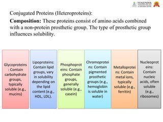 Conjugated Proteins (Heteroproteins):
Composition: These proteins consist of amino acids combined
with a non-protein prosthetic group. The type of prosthetic group
influences solubility.
Phosphoprot
eins: Contain
phosphate
groups,
generally
soluble (e.g.,
casein)
Chromoprotei
ns: Contain
pigmented
prosthetic
groups (e.g.,
hemoglobin
is soluble in
water)
Metalloprotei
ns: Contain
metal ions,
typically
soluble (e.g.,
ferritin)
Nucleoprot
eins:
Contain
nucleic
acids, often
soluble
(e.g.,
ribosomes)
Lipoproteins:
Contain lipid
groups, vary
in solubility
depending on
the lipid
content (e.g.,
HDL, LDL).
Glycoproteins
: Contain
carbohydrate
groups,
typically
soluble (e.g.,
mucins)
 