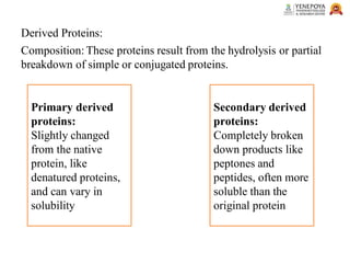 Derived Proteins:
Composition: These proteins result from the hydrolysis or partial
breakdown of simple or conjugated proteins.
Secondary derived
proteins:
Completely broken
down products like
peptones and
peptides, often more
soluble than the
original protein
Primary derived
proteins:
Slightly changed
from the native
protein, like
denatured proteins,
and can vary in
solubility
 