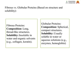 Fibrous vs. Globular Proteins (Based on structure and
solubility):
Fibrous Proteins:
Composition: Long,
thread-like structures.
Solubility: Insoluble in
water and organic solvents
(e.g., collagen, keratin).
Globular Proteins:
Composition: Spherical,
compact structures.
Solubility: Usually
soluble in water or
aqueous solutions (e.g.,
enzymes, hemoglobin)
 