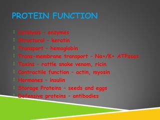 PROTEIN FUNCTION
 Catalysis – enzymes
 Structural – keratin
 Transport – hemoglobin
 Trans-membrane transport – Na+/K+ ATPases
 Toxins – rattle snake venom, ricin
 Contractile function – actin, myosin
 Hormones – insulin
 Storage Proteins – seeds and eggs
 Defensive proteins – antibodies
 