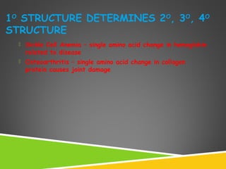 1O
STRUCTURE DETERMINES 2O
, 3O
, 4O
STRUCTURE
 Sickle Cell Anemia – single amino acid change in hemoglobin
related to disease
 Osteoarthritis – single amino acid change in collagen
protein causes joint damage
 