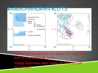 RAMACHANDRAN PLOTS
•Describes acceptable φ/ψ angles for individual
AA’s in a polypeptide chain.
•Helps determine what types of 2o
structure
are present
 