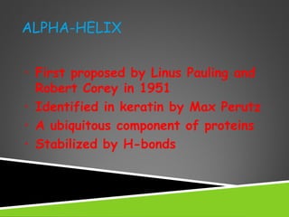 ALPHA-HELIX
• First proposed by Linus Pauling and
Robert Corey in 1951
• Identified in keratin by Max Perutz
• A ubiquitous component of proteins
• Stabilized by H-bonds
 