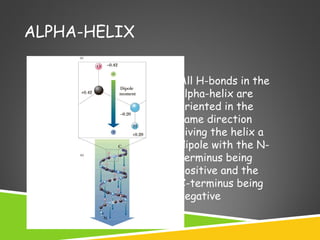 ALPHA-HELIX
All H-bonds in the
alpha-helix are
oriented in the
same direction
giving the helix a
dipole with the N-
terminus being
positive and the
C-terminus being
negative
 
