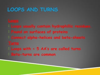 Protein 3 dimensional structure and function | PPT