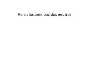 Polar, los aminoácidos neutros