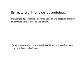 Estructura primaria de las proteínasUn ejemplo de secuencia de aminoácidos en una proteína. Tambiénmuestra las abreviaturas de uso común.Estructura primaria - el orden de los residuos de aminoácidos en una proteína (o polipéptido