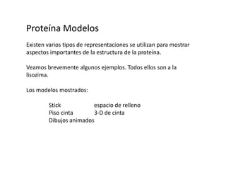 Proteína ModelosExisten varios tipos de representaciones se utilizan para mostrar aspectos importantes de la estructura de la proteína.Veamos brevemente algunos ejemplos. Todos ellos son a la lisozima.Los modelos mostrados:Stick		espacio de relleno	Piso cinta	3-D de cinta	Dibujos animados