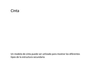 CintaUn modelo de cinta puede ser utilizado para mostrar los diferentes tipos de la estructura secundaria