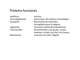 Proteína funcionescatalíticas. 		enzimas Inmunoglobulinas 	anticuerpos. Del sistema inmunológicotransporte 		Movimiento de materiales.			hemoglobina para el oxígeno.regulación, 		hormonas control del metabolismo. Estructurales 		Revestimientos y las ayudas. La piel,			tendones, el pelo, las uñas y los huesos.Movimiento 		músculos, los cilios, flagetta