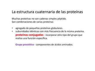 forma utilizada por las proteínas celulares