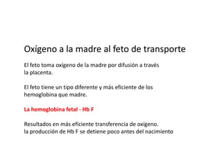 Ejemplo - citocromo C 550Anillo estructuralContiene Fe2 +Se usa enmetabolismoAgregado de variostipos de proteínas yestructuras.