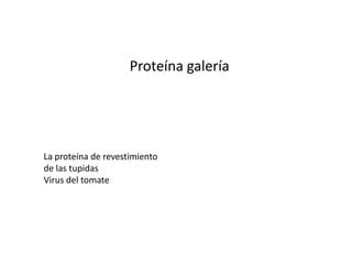 HydrolysisDará lugar a unaproteína que esreducido a simplepéptidos y aminoácidosácidos.Importe de lahidrólisis dependesobre el pH, el tiempo ytemperatura