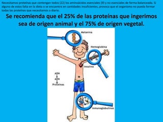 Necesitamos proteínas que contengan todos (22) los aminoácidos esenciales (9) y no esenciales de forma balanceada. Si
alguno de estos falta en la dieta o se encuentra en cantidades insuficientes, provoca que el organismo no pueda formar
todas las proteínas que necesitamos a diario.
Se recomienda que el 25% de las proteínas que ingerimos
sea de origen animal y el 75% de origen vegetal.
 