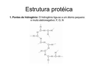 Estrutura protéica
1. Pontes de hidrogênio: O hidrogênio liga-se a um átomo pequeno
e muito eletronegativo: F, O, N
 