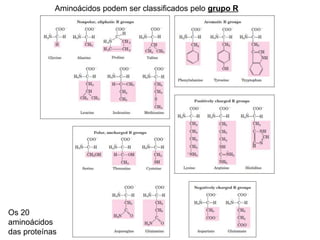 Aminoácidos podem ser classificados pelo grupo R
Os 20
aminoácidos
das proteínas
 