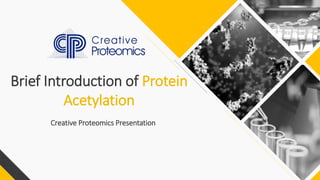 Brief Introduction of Protein
Acetylation
Creative Proteomics Presentation
 