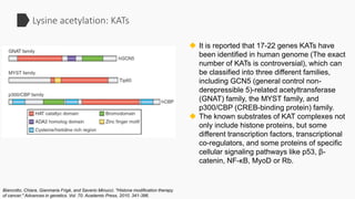 Introduction of Protein Acetylation  Slide 7