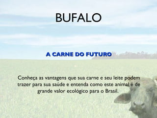 BUFALO ,[object Object],Conheça as vantagens que sua carne e seu leite podem trazer para sua saúde e entenda como este animal é de grande valor ecológico para o Brasil.  