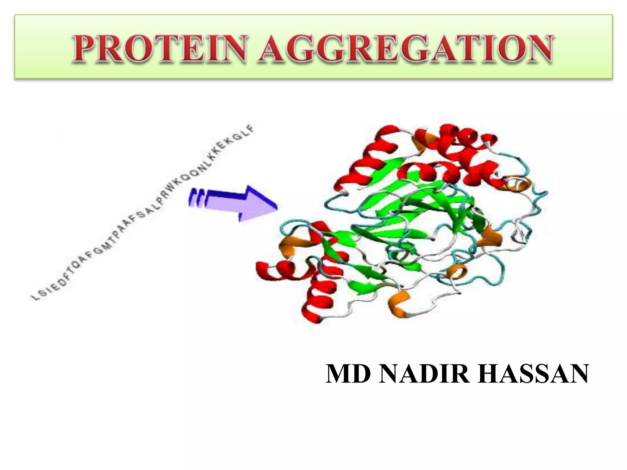 Protein aggregation PPT