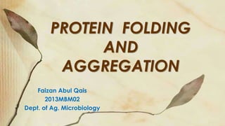 Faizan Abul Qais
2013MBM02
Dept. of Ag. Microbiology
PROTEIN FOLDING
AND
AGGREGATION
 