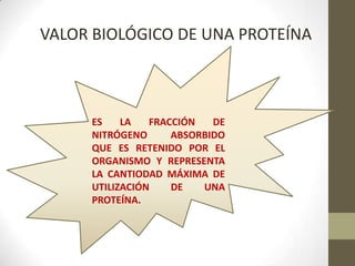 VALOR BIOLÓGICO DE UNA PROTEÍNA
ES LA FRACCIÓN DE
NITRÓGENO ABSORBIDO
QUE ES RETENIDO POR EL
ORGANISMO Y REPRESENTA
LA CANTIODAD MÁXIMA DE
UTILIZACIÓN DE UNA
PROTEÍNA.
 