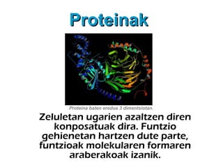 Proteinak

Proteina baten eredua 3 dimentsiotan.

Zeluletan ugarien azaltzen diren
konposatuak dira. Funtzio
gehienetan hartzen dute parte,
funtzioak molekularen formaren
araberakoak izanik.

 