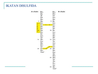 IKATAN DISULFIDA
 