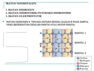 IKATAN NONKOVALEN
1. IKATAN HIDROGEN
2. IKATAN HIDROFOBIK/INTERAKSI HIDROFOBIK
3. IKATAN ELEKTROSTATIK
 IKATAN HIDROGEN TERJADI ANTARA RESIDU GUGUS R PADA SIMPUL
YANG BERDEKATAN DIDALAM RANTAI ATAU ANTAR RANTAI.
RANTAI 1
RANTAI 2
RANTAI 3
 