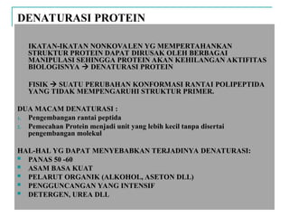 DENATURASI PROTEIN
IKATAN-IKATAN NONKOVALEN YG MEMPERTAHANKAN
STRUKTUR PROTEIN DAPAT DIRUSAK OLEH BERBAGAI
MANIPULASI SEHINGGA PROTEIN AKAN KEHILANGAN AKTIFITAS
BIOLOGISNYA  DENATURASI PROTEIN
FISIK  SUATU PERUBAHAN KONFORMASI RANTAI POLIPEPTIDA
YANG TIDAK MEMPENGARUHI STRUKTUR PRIMER.
DUA MACAM DENATURASI :
1. Pengembangan rantai peptida
2. Pemecahan Protein menjadi unit yang lebih kecil tanpa disertai
pengembangan molekul
HAL-HAL YG DAPAT MENYEBABKAN TERJADINYA DENATURASI:
 PANAS 50 -60
 ASAM BASA KUAT
 PELARUT ORGANIK (ALKOHOL, ASETON DLL)
 PENGGUNCANGAN YANG INTENSIF
 DETERGEN, UREA DLL
 