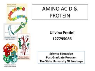 AMINO ACID &
   PROTEIN

       Ulivina Pratini
        127795086


       Science Education
    Post Graduate Program
The State University Of Surabaya
 
