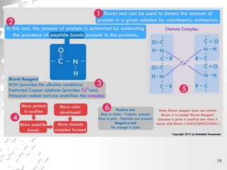 Protein Analysis Example Protein Analysis Methods.pptx