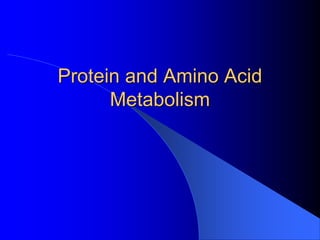 Protein and Amino Acid
Metabolism
 