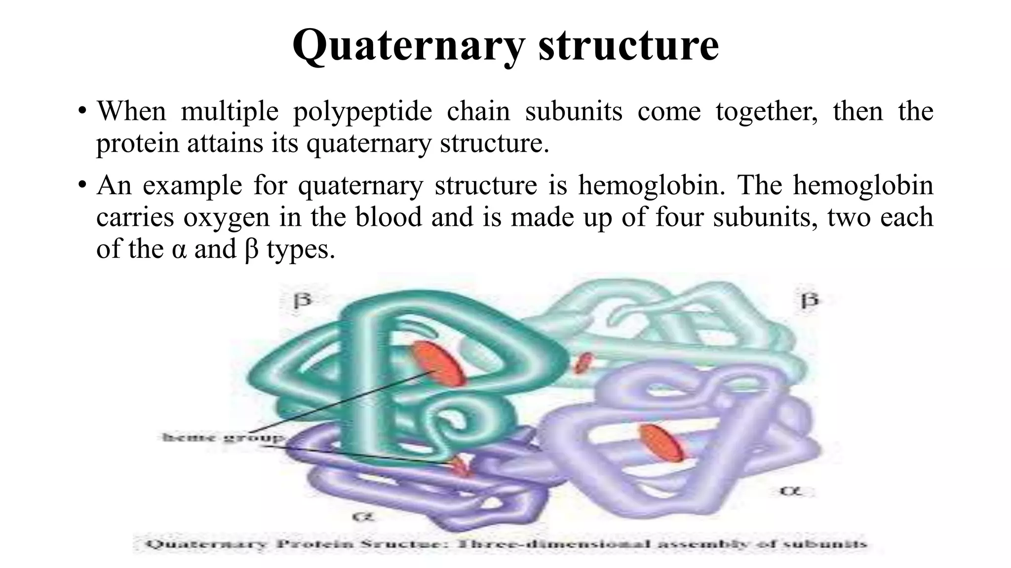 PROTEIN AND AMINO ACIDS-CLASS-I.pptx