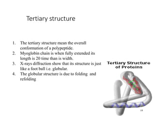 Tertiary structure
19
1. The tertiary structure mean the overall
conformation of a polypeptide.
2. Myoglobin chain is when fully extended its
length is 20 time than is width.
3. X-rays diffraction show that its structure is just
like a foot ball i.e. globular.
4. The globular structure is due to folding and
refolding
 