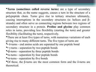 Turns (sometimes called reverse turns) are a type of secondary
structure that, as the name suggests, causes a turn in the structure of a
polypeptide chain. Turns give rise to tertiary structure ultimately,
causing interruptions in the secondary structures (α- helices and β-
strands) and often serve as connecting regions between two regions of
secondary structure in a protein. Proline and glycine play common
roles in turns, providing less flexibility (starting the turn) and greater
flexibility (facilitating the turn), respectively.
There are at least five types of turns, with numerous variations of each
giving rise to many different turns. The five types of turns are
• δ-turns - end amino acids are separated by one peptide bond
• γ-turns - separation by two peptide bonds
•β-turns - separation by three peptide bonds
•α-turns - separation by four peptide bonds
•π-turns - separation by five bonds
Of these, the β-turns are the most common form and the δ-turns are
theoretical.
 