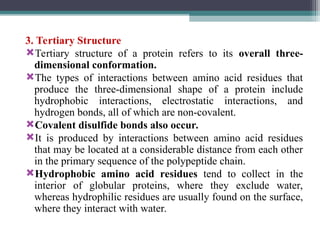 3. Tertiary Structure
Tertiary structure of a protein refers to its overall three-
dimensional conformation.
The types of interactions between amino acid residues that
produce the three-dimensional shape of a protein include
hydrophobic interactions, electrostatic interactions, and
hydrogen bonds, all of which are non-covalent.
Covalent disulfide bonds also occur.
It is produced by interactions between amino acid residues
that may be located at a considerable distance from each other
in the primary sequence of the polypeptide chain.
Hydrophobic amino acid residues tend to collect in the
interior of globular proteins, where they exclude water,
whereas hydrophilic residues are usually found on the surface,
where they interact with water.
 