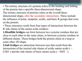 • The tertiary structure of a protein refers to the bending and folding
of the protein into a specific three-dimensional shape.
The tertiary structure of proteins refers to the overall three-
dimensional shape, after the secondary interactions. These include
the influence of polar, nonpolar, acidic, and basic R groups that exist
on the protein.
• These structures result from four types of interactions between the
R side chains of the amino acids residues:
1.Disulfide bridges can form between two cysteine residues that are
close to each other in the same chain, or between cysteine residues in
different chains. These bridges hold the protein chain in a loop or
some other 3D shape.
2.Salt bridges are attractions between ions that result from the
interactions of the ionized side chains of acidic amino acids (—
COO-
) and the side chains of basic amino acids (—NH3 +
).
 