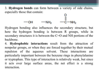 3. Hydrogen bonds can form between a variety of side chains,
especially those that contain:
Hydrogen bonding also influences the secondary structure, but
here the hydrogen bonding is between R groups, while in
secondary structures it is between the C=O and NH portions of the
backbone.
4. Hydrophobic interactions result from the attraction of
nonpolar groups, or when they are forced together by their mutual
repulsion of the aqueous solvent. These interactions are
particularly important between the benzene rings in phenylalanine
or tryptophan. This type of interaction is relatively weak, but since
it acts over large surface areas, the net effect is a strong
interaction.
 