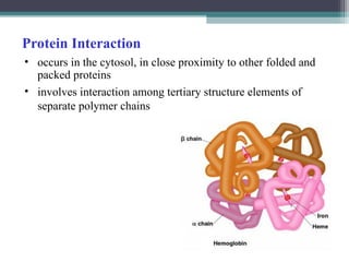 Protein Interaction
• occurs in the cytosol, in close proximity to other folded and
packed proteins
• involves interaction among tertiary structure elements of
separate polymer chains
 