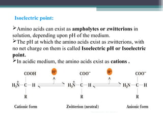 Amino acids can exist as ampholytes or zwitterions in
solution, depending upon pH of the medium.
The pH at which the amino acids exist as zwitterions, with
no net charge on them is called Isoelectric pH or Isoelectric
point.
In acidic medium, the amino acids exist as cations .
In alkaline medium , they exist as anions.
Isoelectric point:
 