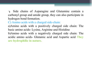  Side chains of Asparagine and Glutamine contain a
carbonyl group and amide group, they can also participate in
hydrogen bond formation.
C) Amino acids with a charged side-chain:
a)Amino acids with a positively charged side chain: The
basic amino acids- Lysine, Arginine and Histidine
b)Amino acids with a negatively charged side chain: The
acidic amino acids- Glutamic acid and Aspartic acid They
are hydrophilic in nature.
 