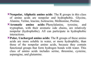 Nonpolar, Aliphatic amino acids: The R groups in this class
of amino acids are nonpolar and hydrophobic. Glycine,
Alanine, Valine, leucine, Isoleucine, Methionine, Proline.
Aromatic amino acids: Phenylalanine, tyrosine, and
tryptophan, with their aromatic side chains, are relatively
nonpolar (hydrophobic). All can participate in hydrophobic
interactions.
Polar, Uncharged amino acids: The R groups of these amino
acids are more soluble in water, or more hydrophilic, than
those of the nonpolar amino acids, because they contain
functional groups that form hydrogen bonds with water. This
class of amino acids includes serine, threonine, cysteine,
asparagine, and glutamine.
 