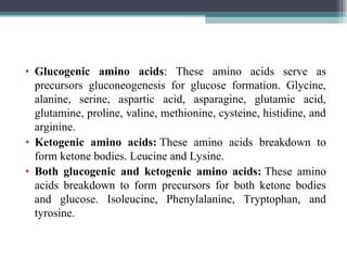 • Glucogenic amino acids: These amino acids serve as
precursors gluconeogenesis for glucose formation. Glycine,
alanine, serine, aspartic acid, asparagine, glutamic acid,
glutamine, proline, valine, methionine, cysteine, histidine, and
arginine.
• Ketogenic amino acids: These amino acids breakdown to
form ketone bodies. Leucine and Lysine.
• Both glucogenic and ketogenic amino acids: These amino
acids breakdown to form precursors for both ketone bodies
and glucose. Isoleucine, Phenylalanine, Tryptophan, and
tyrosine.
 