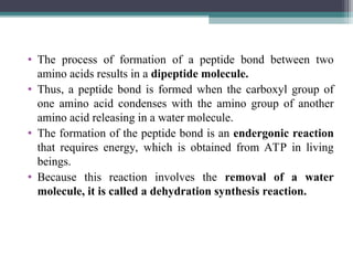 • The process of formation of a peptide bond between two
amino acids results in a dipeptide molecule.
• Thus, a peptide bond is formed when the carboxyl group of
one amino acid condenses with the amino group of another
amino acid releasing in a water molecule.
• The formation of the peptide bond is an endergonic reaction
that requires energy, which is obtained from ATP in living
beings.
• Because this reaction involves the removal of a water
molecule, it is called a dehydration synthesis reaction.
 