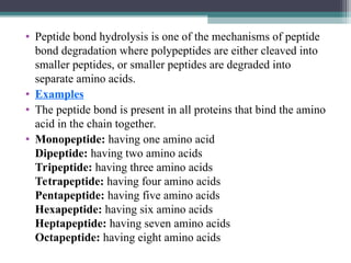 • Peptide bond hydrolysis is one of the mechanisms of peptide
bond degradation where polypeptides are either cleaved into
smaller peptides, or smaller peptides are degraded into
separate amino acids.
• Examples
• The peptide bond is present in all proteins that bind the amino
acid in the chain together.
• Monopeptide: having one amino acid
Dipeptide: having two amino acids
Tripeptide: having three amino acids
Tetrapeptide: having four amino acids
Pentapeptide: having five amino acids
Hexapeptide: having six amino acids
Heptapeptide: having seven amino acids
Octapeptide: having eight amino acids
 