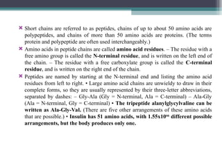 Short chains are referred to as peptides, chains of up to about 50 amino acids are
polypeptides, and chains of more than 50 amino acids are proteins. (The terms
protein and polypeptide are often used interchangeably.)
 Amino acids in peptide chains are called amino acid residues. – The residue with a
free amino group is called the N-terminal residue, and is written on the left end of
the chain. – The residue with a free carboxylate group is called the C-terminal
residue, and is written on the right end of the chain.
 Peptides are named by starting at the N-terminal end and listing the amino acid
residues from left to right. • Large amino acid chains are unwieldy to draw in their
complete forms, so they are usually represented by their three-letter abbreviations,
separated by dashes: – Gly-Ala (Gly = N-terminal, Ala = C-terminal) – Ala-Gly
(Ala = N-terminal, Gly = C-terminal) • The tripeptide alanylglycylvaline can be
written as Ala-Gly-Val. (There are five other arrangements of these amino acids
that are possible.) • Insulin has 51 amino acids, with 1.55x1066
different possible
arrangements, but the body produces only one.
 