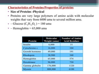 Characteristics of Proteins/Properties of proteins
• Size of Proteins -Physical
• Proteins are very large polymers of amino acids with molecular
weights that vary from 6000 amu to several million amu.
• – Glucose (C6H12O6 ) = 180 amu
• – Hemoglobin = 65,000 amu
 
