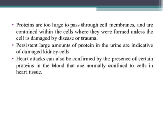 • Proteins are too large to pass through cell membranes, and are
contained within the cells where they were formed unless the
cell is damaged by disease or trauma.
• Persistent large amounts of protein in the urine are indicative
of damaged kidney cells.
• Heart attacks can also be confirmed by the presence of certain
proteins in the blood that are normally confined to cells in
heart tissue.
 